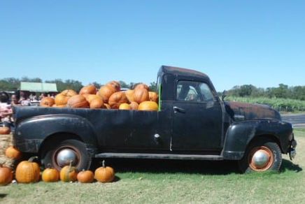 Vintage black pick up truck filled with pumpkins